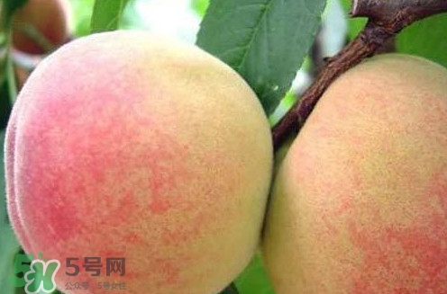 陽山水蜜桃?guī)自路萆鲜?？陽山水蜜桃上市時(shí)間