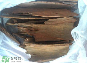 安哥拉樹皮能天天吃嗎？安哥拉樹皮天天吃可以嗎？