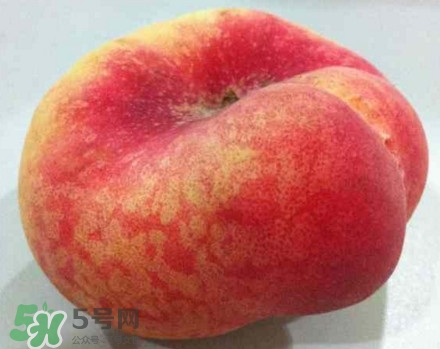 盤桃是蟠桃嗎？盤桃和蟠桃一樣嗎