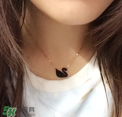 施華洛世奇黑天鵝是什么材質(zhì)？施華洛世奇黑天鵝是水晶嗎？