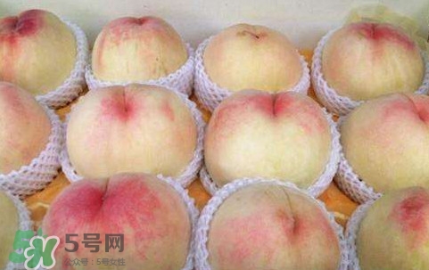 無錫水蜜桃多少錢一斤2017？無錫水蜜桃什么時候上市