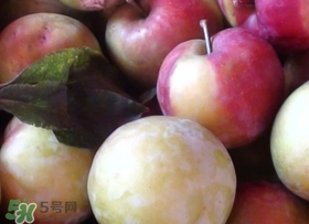 南華李什么時候成熟？南華李和三華李的區(qū)別