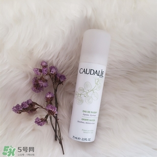 歐緹麗葡萄籽噴霧多少錢(qián)?歐緹麗葡萄籽噴霧專(zhuān)柜價(jià)格 歐緹麗葡萄籽噴霧多少錢(qián)?歐緹麗葡萄籽噴霧專(zhuān)柜價(jià)格