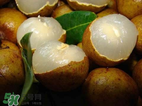 龍眼和桂圓是一種東西嗎？龍眼和桂圓的區(qū)別