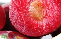 雙華李幾月可以吃？雙華李什么季節(jié)成熟