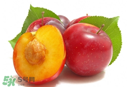 三華李可以放多久？三華李可以冷藏嗎？