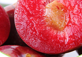 雙華李幾月可以吃？雙華李什么季節(jié)成熟