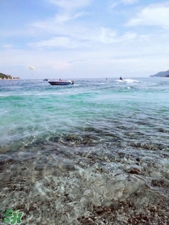 越南芽莊好玩嗎 越南芽莊旅游攻略 越南芽莊好玩嗎 越南芽莊旅游攻略