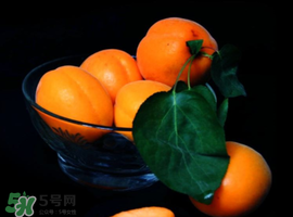 杏子可以和芒果一起吃嗎？吃完杏子可以吃芒果嗎？