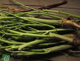 莧菜桿能吃嗎？莧菜桿子可以吃嗎？