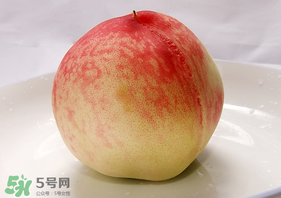毛桃不能和什么一起吃？毛桃和什么相克？