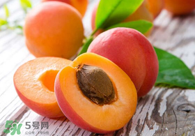杏和西瓜能一起吃嗎？杏和西瓜能同時吃嗎？