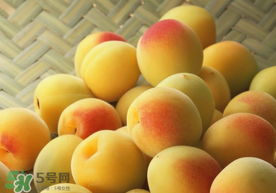 杏和雞蛋能一起吃嗎？杏子和雞蛋能一起吃嗎？