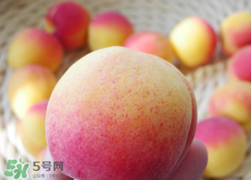杏的熱量高嗎？一個(gè)杏的熱量是多少？