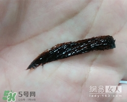 眉膠是什么？眉膠好用嗎