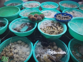 越南芽莊好玩嗎 越南芽莊旅游攻略 越南芽莊好玩嗎 越南芽莊旅游攻略