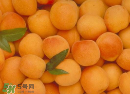 杏怎么催熟？杏怎么放熟的快？