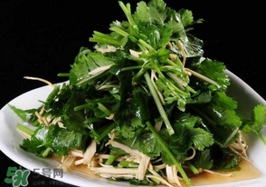 香菜是什么菜？香菜是陽痿草嗎？