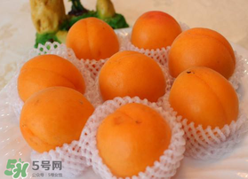杏子可以放冰箱嗎？杏子可以冷藏嗎？