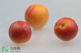 杏子怎么保存？長(zhǎng)杏子怎么保存時(shí)間長(zhǎng)？