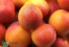新鮮杏子可以放冰箱嗎？新鮮杏子怎么保存？
