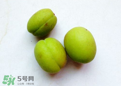 青杏怎么催熟？青杏怎么變黃？