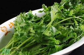 香菜是感光食物嗎？香菜是不是感光食物