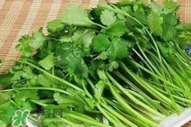 香菜是堿性嗎？香菜是堿性還是酸性