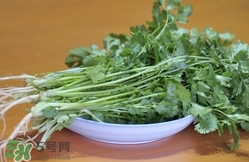 香菜是寒性食物嗎？香菜是熱性還是涼性？