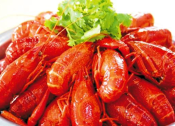 清蒸龍蝦需要多長時(shí)間？清蒸龍蝦要蒸多久？