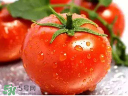 杏和西紅柿能一起吃嗎？杏子能和西紅柿一起吃嗎？