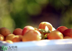 杏子好吃嗎？杏子可以多吃嗎？