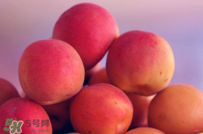 杏子好吃嗎？杏子可以多吃嗎？