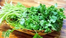 香菜是寒性食物嗎？香菜是熱性還是涼性？