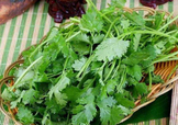 香菜洗腎有科學(xué)依據(jù)么？香菜能洗腎是真的嗎？