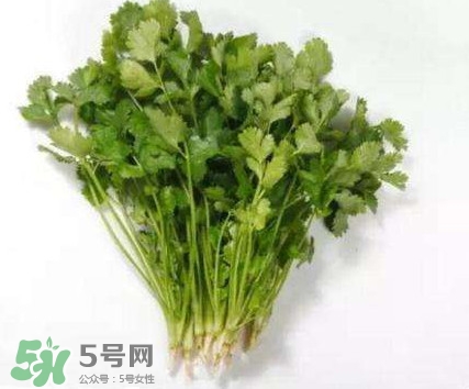 香菜洗腎有科學(xué)依據(jù)么？香菜能洗腎是真的嗎？
