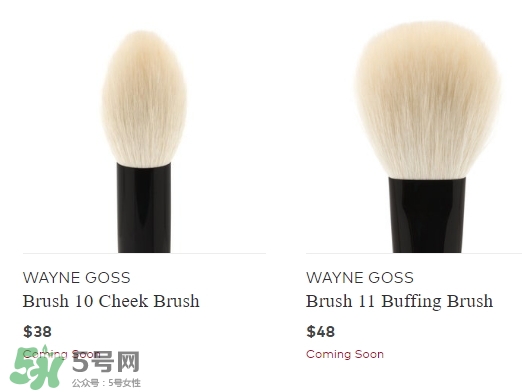 wayne goss是什么牌子？wayne goss化妝刷怎么樣？