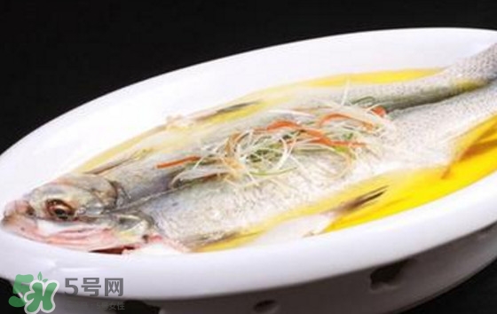 孕婦可以吃白條魚嗎？白條魚孕婦能吃嗎？