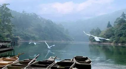 馬口魚(yú)能養(yǎng)殖嗎？馬口魚(yú)怎么養(yǎng)？