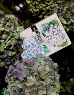 dolce gabanna杜嘉班納2017秋冬繡球花系列怎么樣_好看嗎？