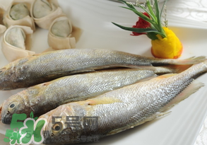 黃魚多少錢一斤？黃魚多少錢一斤2017？