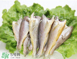 小黃魚可以養(yǎng)殖嗎？小黃魚能人工養(yǎng)殖嗎？