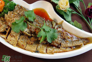 小黃魚可以養(yǎng)殖嗎？小黃魚能人工養(yǎng)殖嗎？
