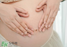 孕婦驅(qū)蚊植物推薦 孕婦能用植物驅(qū)蚊嗎？