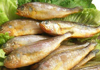 小黃魚多少錢一斤？野生小黃魚多少錢一斤？