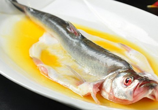 白條魚能長(zhǎng)多大？白條魚可以長(zhǎng)多大？