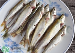 孕婦可以吃白條魚嗎？白條魚孕婦能吃嗎？
