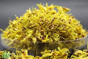 鐵皮石斛開(kāi)花了怎么辦？鐵皮石斛的花怎么吃