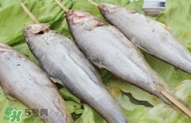 馬口魚怎么釣？馬口魚什么時(shí)候釣最好