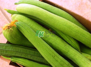 7月份吃什么蔬菜？七月份吃什么蔬菜？